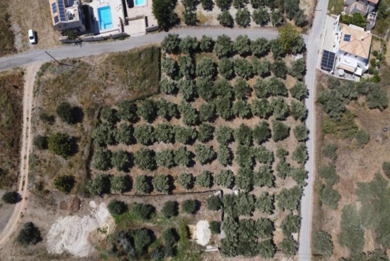 Kournas Kreta, Kournas: Eckgrundstück nahe des Kournas-Sees zu verkaufen Grundstück kaufen